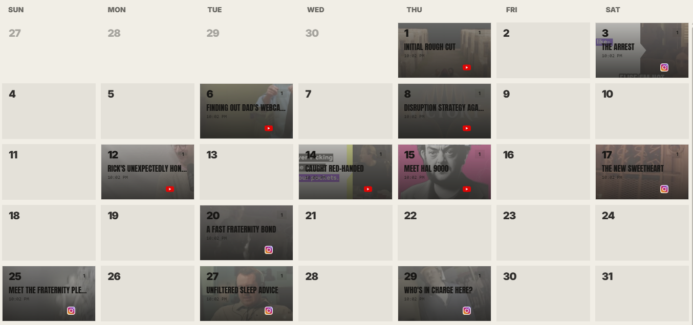 IMABIRD publishing calendar