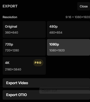 IMABIRD video export controls